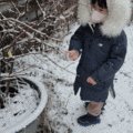 마온농장 이미지