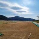 장호원파크골프장 이미지