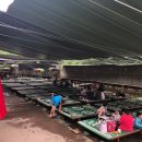 이집이좋겠네 2호점 | 휴가 | 강아지동반계곡 | 반려견동반계곡 | 이집이좋겠네2호점 | 강아지계곡 | 애견동반식당 | 강아지와...