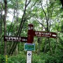 태백산 산행 후기