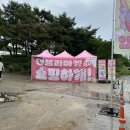 디어 마이 망고 | [2024 펫페어] 제 3회 댕블리마켓 후기 / 국내최초 애견미용, 패션용품 박람회 / 디어마이망고