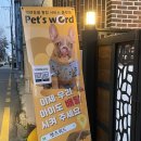 플레르룬 | [김해] 김해애견케이크 애견수제간식추천 강아지수제간식전문 &#34;플레르룬&#34;