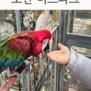 서해해물손칼국수