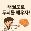 안현비룡태권도장 이미지
