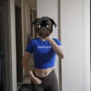 [ZOOM] 한의사의 저탄고지 다이어트 | 강남 다이어트한약 다이어트 환 효과 부작용 개인맞춤상담 7일차후기