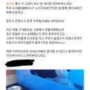 구내염 때문에 전발치하고 방사 이미지