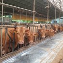 인수목장 이미지