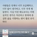 더페이지 이미지