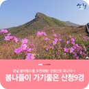 경남봄여행지 봄나들이 가기 좋은 산청9경