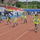 신영유치원 이미지