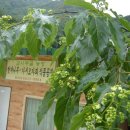 감나무골농장 이미지