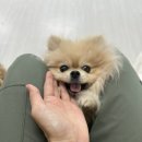 포그니유치원 이미지