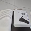 에이스커피 - 71236 | 에이스커피