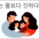 진하다 이미지