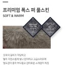 폭스스킨 이미지