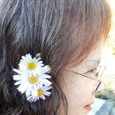 스테이(B) 이미지