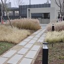 지에스25 송정가온점 | 신라모노그램 강릉 레지던스 호텔 부대시설 후기