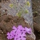 아기밥상 이미지