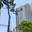 푸르지오공인중개사사무소 이미지