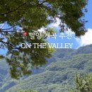 온더밸리 이미지
