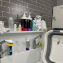 몽이네 애견샵 이미지