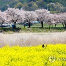 화산천 이미지