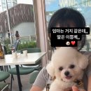 내개로와 네이버블로그