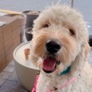 서초대로58길 36 이미지