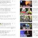 자연교육사 이미지