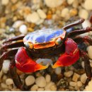 서울숲공원 커뮤니티센터 이미지