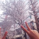 선넷 | [일본 교환학생 D+8] 190328 행복은 돈에서 나온다(빅카메라 유심(빅심), 또 일본 스벅 티라미수...