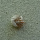 섬마을바다 이미지