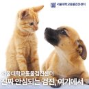 없음 이미지