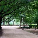 장자호수공원 이미지