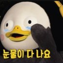 골프튠 아카데미 이미지