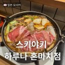 A5 | 오사카 스키야키 맛집 하루나 혼마치점 A5 최상급 와규 후기