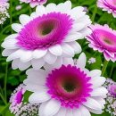 6월 25일 수요일 간추린 뉴스와 날씨 이미지