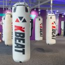 세븐복싱 이미지