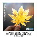 포랩 이미지