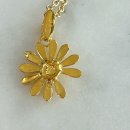 데이지플라워 이미지