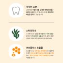 에이치덴탈