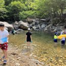 사지목 나무그늘 이미지