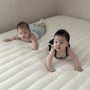 카페블루콩