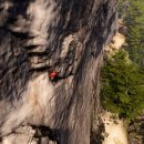 Body picnic 이미지