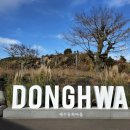 구덕문화공원(인공폭포 앞) | 제주 동화마을 스타벅스 커피 마신 후, 무료 입장 정원 둘러보기