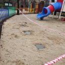 포천삼정초교 이미지