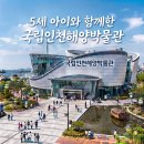육대주센타 | 국립인천해양박물관 어린이박물관 무료 체험형 키즈룸 5세 대만족 후기 (예약 꿀팁 & 전코스 완전 정복)