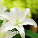 미사역푸르지오부동산중개사무소 이미지