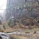 153카서비스 | 미국여행 넷째날 대자연 여행 1탄✨렌트카로 캐년 여행하기, 자이언캐년, 브라이스캐년