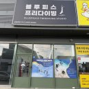 대구 구미 스쿠버다이빙 체험 후기: 초보자도 인생샷 가능 "블루피스" 강추